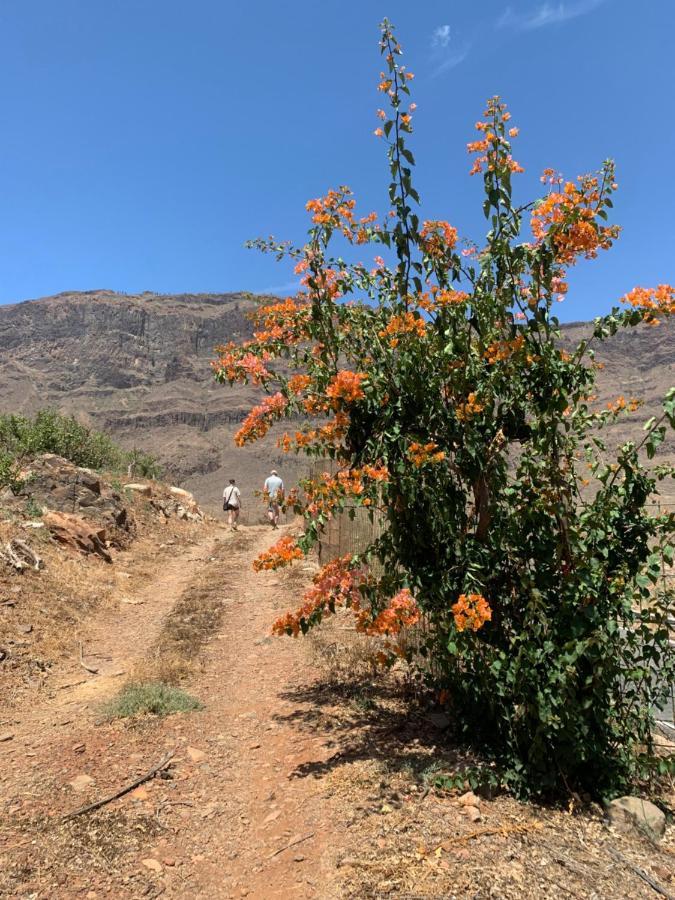 Hotel Masai Mara Resort Gran Canaria San Bartolomé 외부 사진